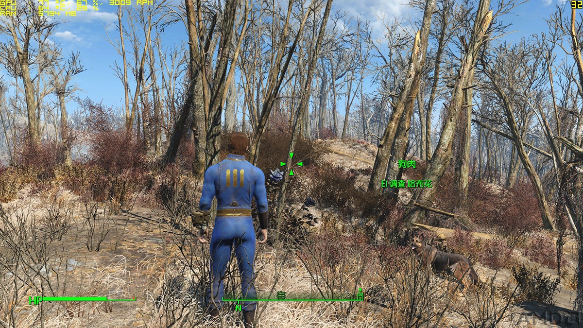 Fallout4_2015_11_20_15_07_30_826.jpg